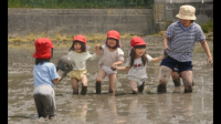 日本幼兒園教育指導(dǎo)方法遵循的教育