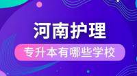 河南推拿職業(yè)學院專升本能進入什么大學