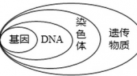 生物考試題染色體，dna，遺傳物質(zhì)區(qū)別