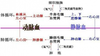 8g氧氣由t1=80℃，v1=10L變成t2=300