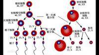 小鼠經(jīng)過減數(shù)分裂產(chǎn)生的卵細胞過程