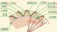 斜圓柱齒輪的體積公式是什么？