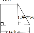 王大爺在三角形的菜地種菜，底是12m,