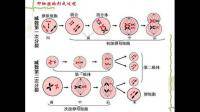 高一生物減數(shù)分裂的圖怎么看?。坑洸?></i><p>高一生物減數(shù)分裂的圖怎么看??？記不</p></a></li>           </ul>
        </div>
      </div>
    </div>
    <div   id=