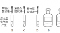 標(biāo)定鹽酸溶液的濃度