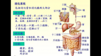 組織在醫(yī)學(xué)怎么解釋