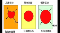 如果困在海上，喝尿和喝海水哪個(gè)靠譜