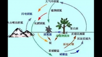 微生物對空氣的作用