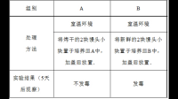 六年級(jí)科學(xué)實(shí)驗(yàn)報(bào)告&nbsp;探究饅頭