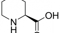 L-脯氨酸跟L-羥基脯氨酸在化學(xué)通路