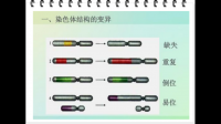 人類行為與社會(huì)環(huán)境，生物層面理論--