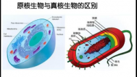 請(qǐng)問生物學(xué)上說的調(diào)節(jié)因子和調(diào)控因