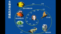 為什么自然界中的生物不是統(tǒng)一的外