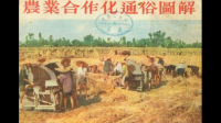 中共在1950年代中期領(lǐng)導(dǎo)農(nóng)業(yè)合作運