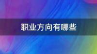 如果要選擇可以選什么職業(yè)？