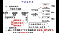 RET基因突變率45.3%表示什么意思