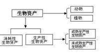 公司購進(jìn)的黑松，先種植，合適就銷售的