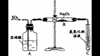 二氧化硫能直接與氧化鈉反應(yīng)嗎，為什