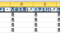 內(nèi)蒙古呼和浩特社區(qū)民生志愿者屬于